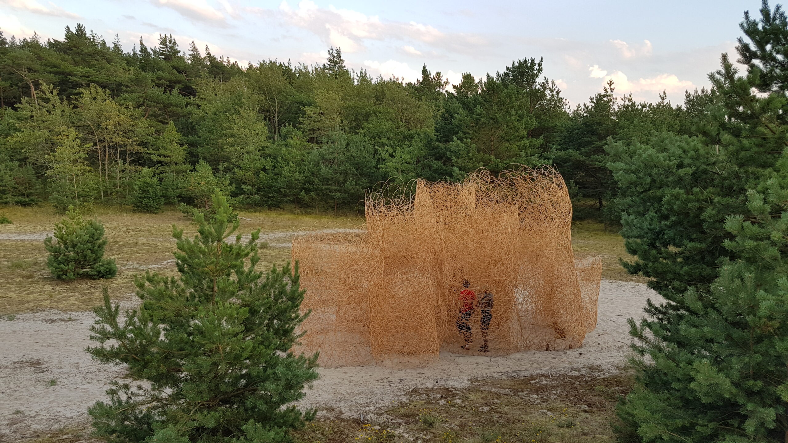 Pawilon z&nbsp;Wikliny